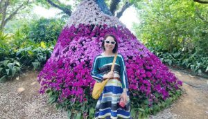 pg电子_首页官网入口